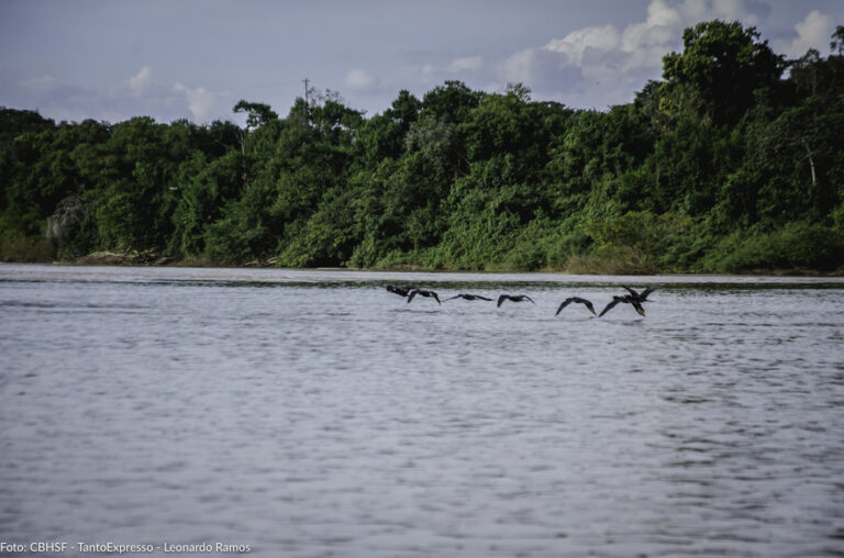 Rio Paracatu (2)