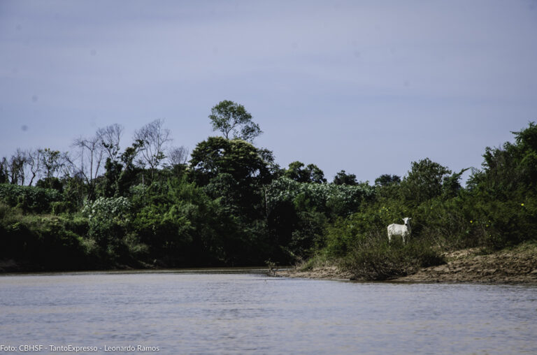 Rio Paracatu (4)